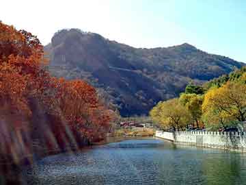 澳门二四六天天彩图库，宜州物流